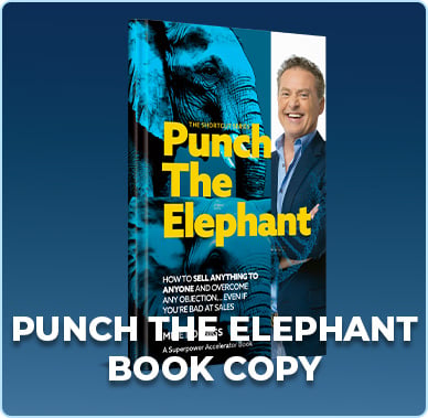 Punch The Elephant